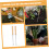 2pcs Weed Puller Tool with Ergonomic Handle Design, Durable Garden Weeding Tool for Lawn and Yard 4