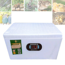 46 Eggs Egg Incubator for Chicken Duck Quail, Dual Power Support, Low Noise Poultry Hatcher