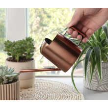 Stainless Steel Watering Can 300ml Mini Long Spout for Indoor Houseplants Precise Water Control