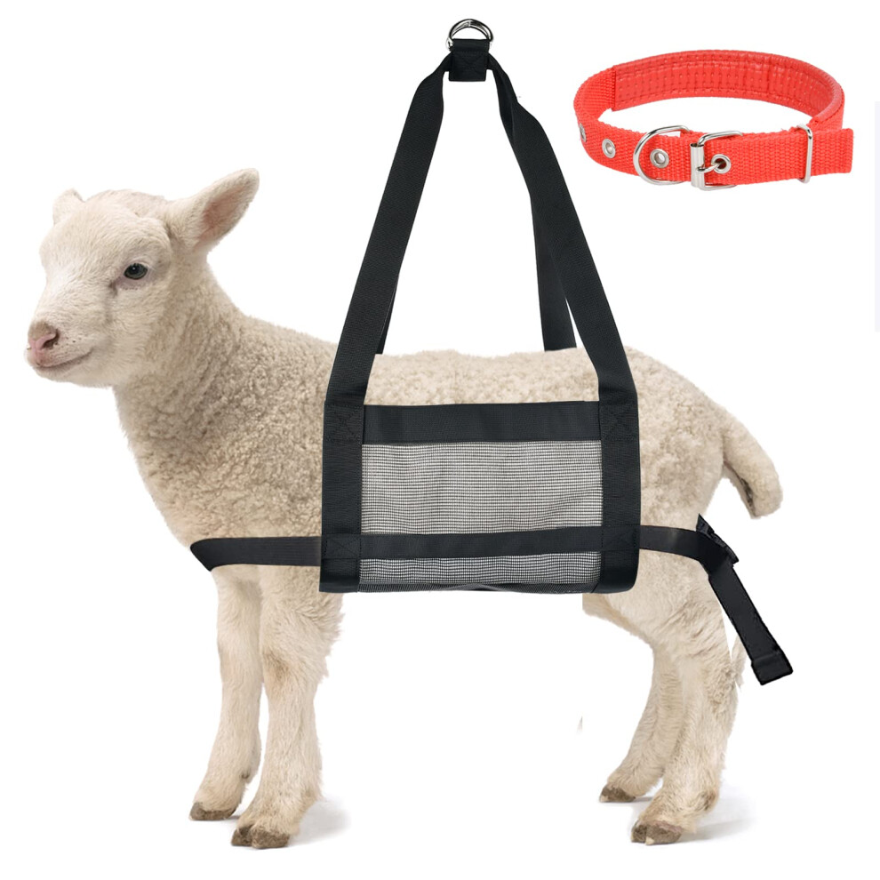 Calf Weighing Sling Adjustable Strap System For Hanging Scale Livestock Weight Sling For Calves Goats 9073542927754