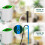 Automatic Plant Watering System with Smart Drip Irrigation Kit, Programmable Timer for 4 Potted Plants 5