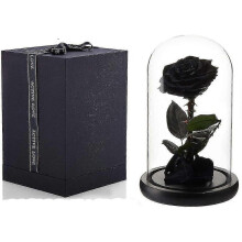 Preserved Real Rose Eternal Rose in Glass Dome Gift compatible with Her Thanksgiving Christmas Valentine's Day Birthday Mother's Day (Black)