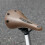 Fahrradsättel für Mountainbikes, zusammenklappbare-BG 6