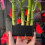 Durable Plastic Aquarium Hanging Organizers Maximizes Tanks-2 7