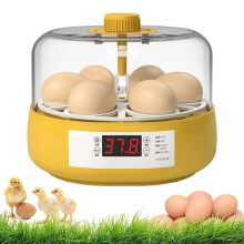 Automatic Egg Incubator 6 Eggs with Easy Temperature Control, Compact Design for Hatching Chicken Quail Duck Eggs