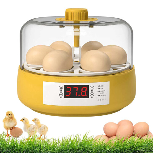 Automatic Egg Incubator 6 Eggs with Easy Temperature Control, Compact Design for Hatching Chicken Quail Duck Eggs