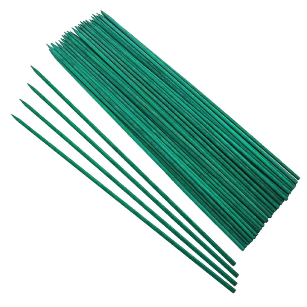 50pcs Plastic Plant Support Stakes for Flowers and Vegetables, Colorful Garden Sticks for Upright Growth-image-OPC-PT2B8Y6-NEW