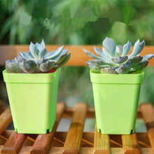 10 Pack Square Plastic Nursery Pots with Drainage and Trays for Seed Starting and Healthy Growth Green
