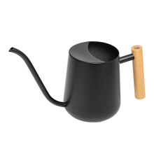 Stainless Steel Watering Can with Long Precision Spout and Ergonomic Handle for Indoor and House Plants