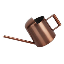 Stainless Steel Indoor Watering Can with Long Spout for Houseplants and Succulents, Ergonomic Handle