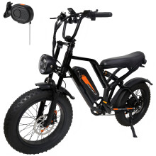 Fat Tyre E-Bike/500W/48V/Off-Road E-Bike/7-Speed