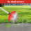 24V Cordless Grass Trimmer 2 Battery Weed Cutter 6