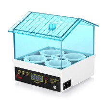Mini Egg Incubator with Precise Temperature Control and RealTime Display for 4 Chicken or Quail Eggs