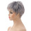 Women's  Wigs, Grey 3