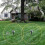 8 packs Solar powered mole repeller, sonic mole deterrent pest control rodent repeller snake chaser mole gopher vole. 4