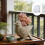 Sturdy Silicone Bird Mould For Creating Artistic Planters And 5