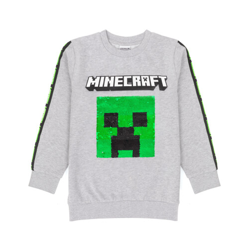 Minecraft (9-10 Years) Minecraft Sweatshirt (Unisex Kids Grey)