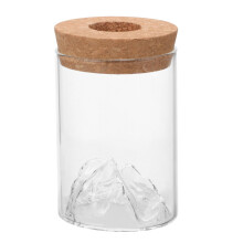 Glass Propagation Station with Stopper for Hydroponic Plant Cuttings and Succulent Rooting Decor