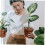 Self Watering Bulbs for Indoor Plants, Automatic Watering Globes with Consistent Moisture Control 3