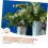Self Watering Bulbs for Indoor Plants, Automatic Watering Globes with Consistent Moisture Control 4