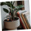Self Watering Bulbs for Indoor Plants, Automatic Watering Globes with Consistent Moisture Control 5