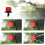 Drip Irrigation System 10M Garden Micro Kit with Adjustable Drippers, Water Saving Automatic Watering 4