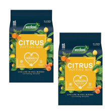 Westland Citrus Potting Mix 10L x 2 Peat Free Soil