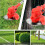 12V Cordless Grass Trimmer Strimmer 2 Battery 11