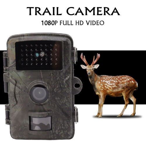 24MP Wildlife Trail Camera with 1080P, Motion Sensor, Night Vision IP66 2
