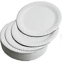Premium Quality Large Disposable Party Paper Plates 100 Pack 23cm | Strong Paper Plates Perfect for Any Occassion