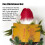 Kerstboomtopper, grappige geruite pluche pop, kerstboomversiering, kerstcadeau 5