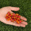 Golf Hardcores Sleeve Golf Accessories Golf Conical Sleeve 4
