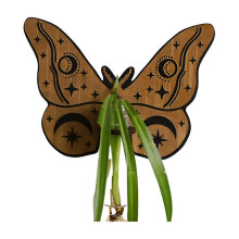 Butterfly Wall Mounted Breeding Station, Wooden Hanging Plant Stand, Plant Stand with Plastic Tubes