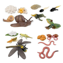 Ciclo vitale di rana, lumaca, lombrico, libellula, uovo, girino, rana, safariologia, statuette di anfibi, giocattolo