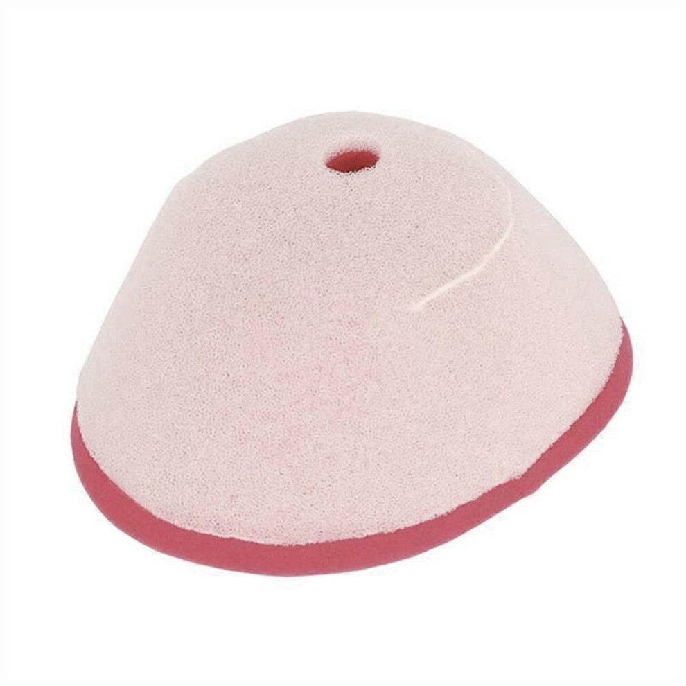 Motorcycle Air Filter Sponge Air Filter Element 2Xj-14451-00 Compatible With Yfm125 Grizzly 125 Yfm250r Yfs200 3878108812712