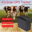 Ηλιακό GPS 4G GPS Αδιάβροχο IP66 4000MAh WIFI Βοοειδή Αγελάδα Πρόβατα Άλογο Καμήλα 2