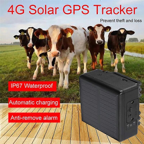 Ηλιακό GPS 4G GPS Αδιάβροχο IP66 4000MAh WIFI Βοοειδή Αγελάδα Πρόβατα Άλογο Καμήλα 1