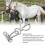 Halfronde trainingsbindring van roestvrij staal, compatibel met Pulling Back Safe Equipment-accessoires. 2