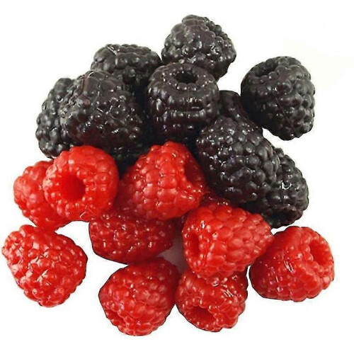 30pcs Artificial Raspberrys Fake Fruit Realistic Fruits Simulation Plant Props Plastic Ornament