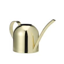 Stainless Steel Watering Can 450ml Durable Long Spout for Indoor and Outdoor Plants, KidFriendly Design