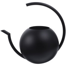 Black Stainless Steel Watering Can with Long Spout and Ergonomic Handle for Indoor Plants and Succulents