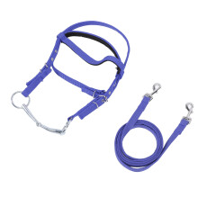 Blue Nylon Bridle Rope, Model Rope, Size L Cap
