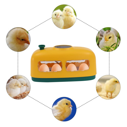 Automatic Egg Incubator for Chicken and Quail with Smart Temperature Control, Humidity Display and Candler 1