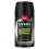 Lynx Lynx Body Bundle Spray Coconut,Pear &Vanilla,100ml 6