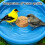 Bird Bath Copper Disk for Efficient Water Purification, Natural Algae Reduction and Easy Outdoor Bird Bath Maintenance 3