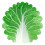 2X Soft Cabbage Blanket Funny Novelty Blanket 150x150cm 2