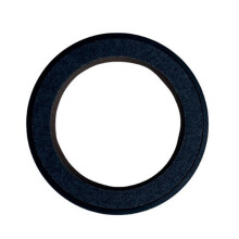 Paraolio Albero Motore 3.0L 68490074AA per GLADIATOR Pickup (JT_)
