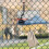 Support de Fixation pour Caméra D'Action avec Pince, Support D'Escalade Polyvalent pour  Action pour , Support de Fixation pour Caméra 4