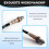 1735400117 Automotive Oxygen Sensor for  Actyon Kyron Rexon 5