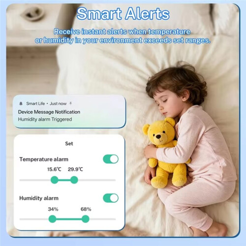 Tuya Thermometer Hygrometer IP65 Waterproof LCD Temperature Humidity Sensor for Alexa  Home 2
